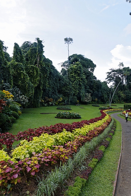 Kandy-Botanical garden-090